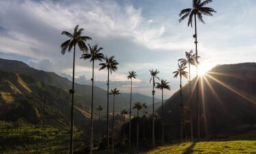 Excursiòn Eje Cafetero