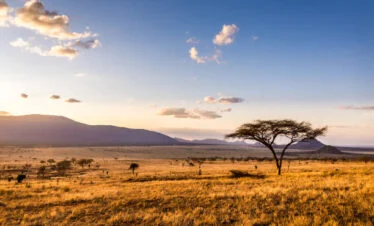 KENYA ESENCIAL Y EXTENSIÓN A ISLA MAURICIO