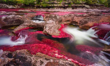 CAÑO CRISTALES